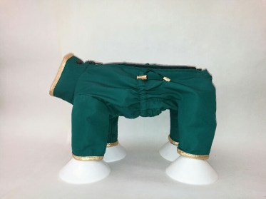 Zaļš suņu lietusmētelis, XS